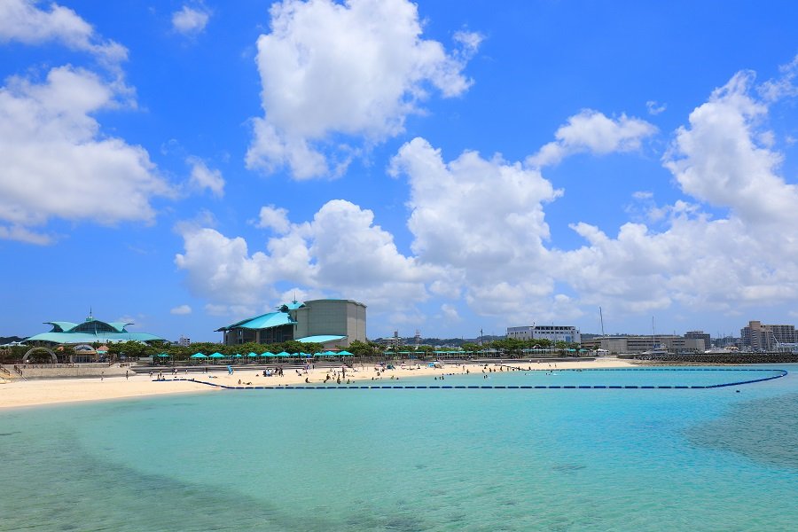 🏖️ 트로피컬 비치 이미지 1